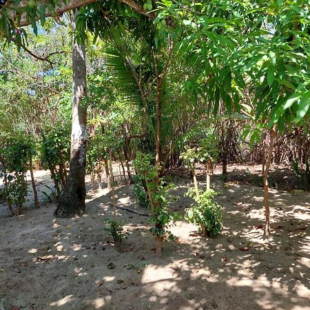 Bed and Breakfast Cabana Playa Cambiaso Puerto Plata Екстер'єр фото