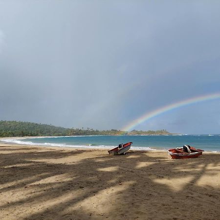Bed and Breakfast Cabana Playa Cambiaso Puerto Plata Екстер'єр фото