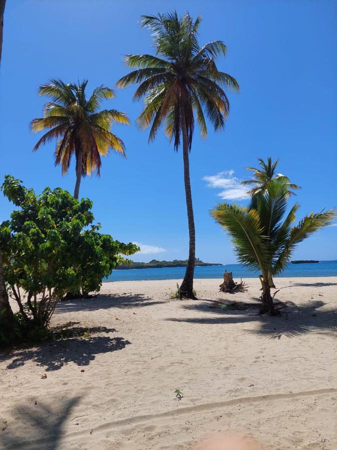 Bed and Breakfast Cabana Playa Cambiaso Puerto Plata Екстер'єр фото
