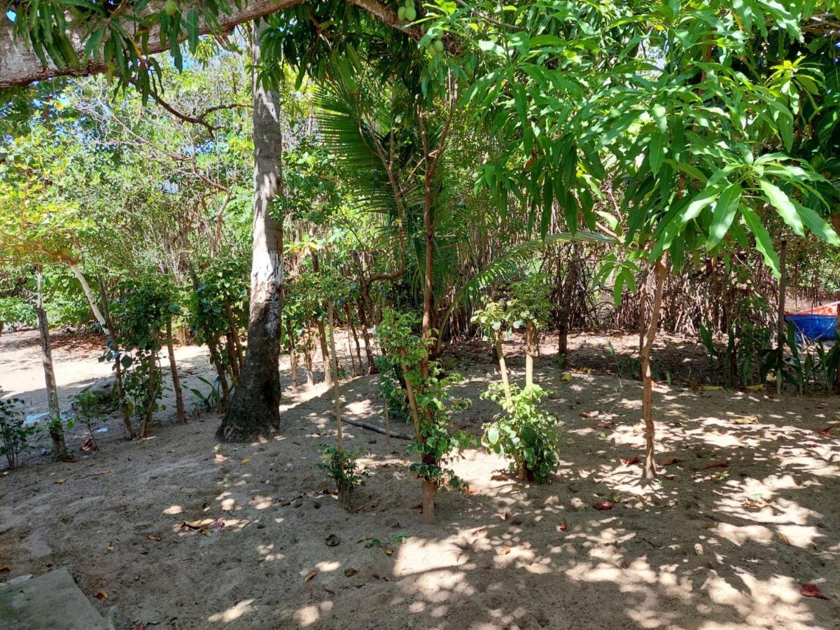 Bed and Breakfast Cabana Playa Cambiaso Puerto Plata Екстер'єр фото